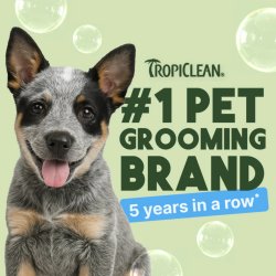 Brandul numărul unu ales pentru juniori. Șampon hipoalergenic pentru câini și pisici TropiClean Gentle Coconut, 355ml