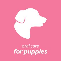 Bucurie la soare și protecție zilnică! Soluție igienă orală câini juniori TropiClean Water Additive Puppies, 473ml