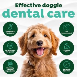 Vitalitate maximă și îngrijire completă la soare! Soluție igienă orală câini juniori TropiClean Water Additive Puppies, 473ml