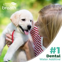 Zile magice pline de soare și conexiune! Soluție igienă orală câini juniori TropiClean Water Additive Puppies, 473ml