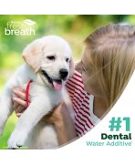 Zile magice pline de soare și conexiune! Soluție igienă orală câini juniori TropiClean Water Additive Puppies, 473ml