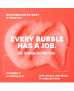 Spumă activă cu Șampon și balsam 2 în 1 pentru câini și pisici TropiClean Watermelon, 355ml