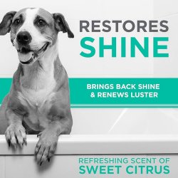Aromă de citrice cu Șampon pentru câini cu blană scurtă și păr fin TropiClean Perfect Fur Smooth Coat, 473ml