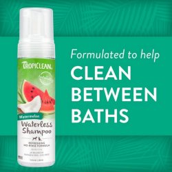 Între spălări cu Șampon fără clătire cu aromă de pepene roșu pentru câini și pisici TropiClean Waterless Watermelon, 236ml