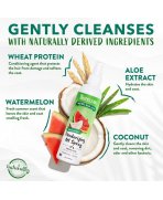 Proteine din grâu cu Spray deodorant și neutralizator de mirosuri pentru câini și pisici TropiClean Watermelon, 236ml