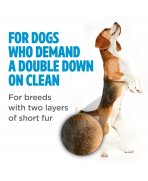 Câine din rasa Beagle cu Șampon pentru câini cu blană scurtă și dublă TropiClean Perfect Fur Short Double Coat, 473ml