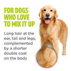 Golden Retriever cu Șampon pentru câini cu blană mixtă TropiClean Perfect Fur Combination Coat, 473ml