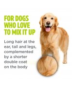 Golden Retriever cu Șampon pentru câini cu blană mixtă TropiClean Perfect Fur Combination Coat, 473ml