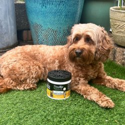 Actiune extinsa cu Gel neutralizator de mirosuri de animale și odorizant 24/7 PowAir Pet Odour Destroyer, 400g
