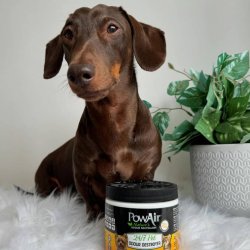 Armonie si echilibru cu Gel neutralizator de mirosuri de animale și odorizant 24/7 PowAir Pet Odour Destroyer, 400g