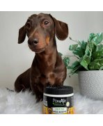 Armonie si echilibru cu Gel neutralizator de mirosuri de animale și odorizant 24/7 PowAir Pet Odour Destroyer, 400g