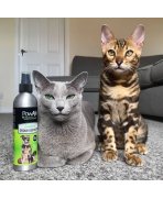 Pisici in meditatie cu Spray neutralizator instant de mirosuri pentru încăperi PowAir Odour Destroyer, 250ml