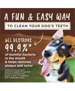 Inlatura placa dentara cu Set gel dentar cu aromă de vită afumată TropiClean Enticers și minge dentară KONG SM
