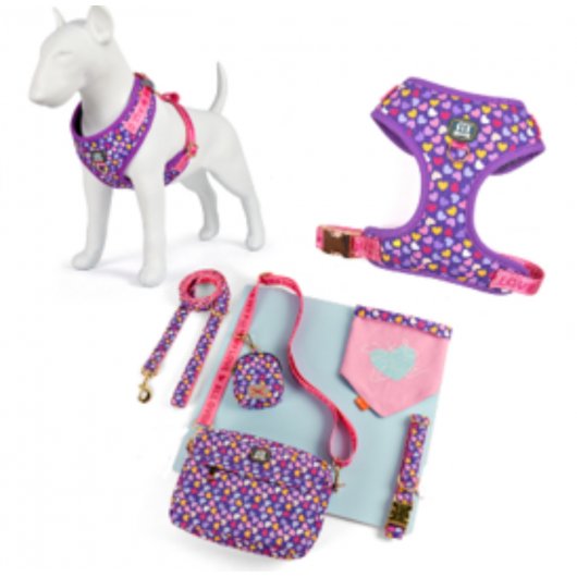 Outfit asortat cu Set complet plimbare pentru mamă și câine Heart, 6 piese