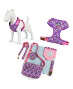 Outfit asortat cu Set complet plimbare pentru mamă și câine Heart, 6 piese
