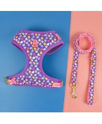 Ham si lesa fashion cu Set complet plimbare pentru mamă și câine Heart, 6 piese