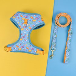 Un look fresh cu Set complet plimbare pentru mamă și câine Ice Cream, 6 piese