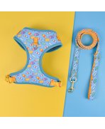 Un look fresh cu Set complet plimbare pentru mamă și câine Ice Cream, 6 piese