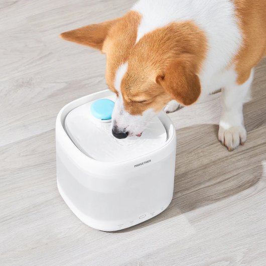 Hidratare smart cu Fântână de apă Pawgether pentru animale de companie cu senzor radar și sterilizare UV P4S, 2.1L