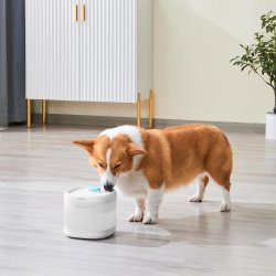 Pur si practic cu Fântână de apă Pawgether pentru animale de companie cu senzor radar și sterilizare UV P4S, 2.1L