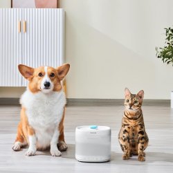 Facem echipa cu Fântână de apă Pawgether pentru animale de companie cu senzor radar și sterilizare UV P4S, 2.1L