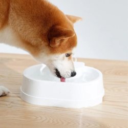 Hidratare smart cu Fântână de apă Pawgether P100S cu detecție nivel scăzut câini și pisici, 3L