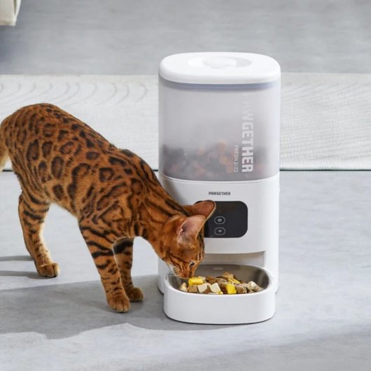 Programare de la distanță cu Hrănitor inteligent Pawgether Fresh F2s WiFi pentru animale de companie, 4L