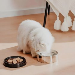 Sistem ingenios 2 in 1 cu Bol mare Pawgether pentru animale de companie din oțel inoxidabil 2 în 1 Bowl 2S