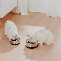 Practic si util cu Bol mare Pawgether pentru animale de companie din oțel inoxidabil 2 în 1 Bowl 2S