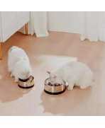 Practic si util cu Bol mare Pawgether pentru animale de companie din oțel inoxidabil 2 în 1 Bowl 2S