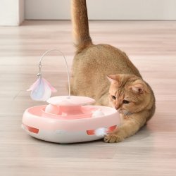 Joaca la orice varsta cu Jucărie automată Pawgether pentru pisici Play 2 PL 2