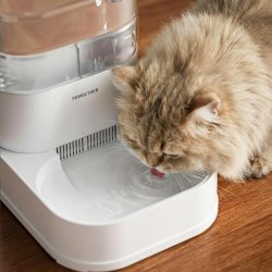 Apa cristalina curgatoare cu Filtre de rezervă FTE 4 pentru fântână gravitațională Pawgether FG 200, Set 6 bucăți