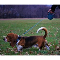 Confortul plimbarii KONG cu Lesă retractabilă KONG Terrain Small 5m Albastră pentru câini până la 20kg