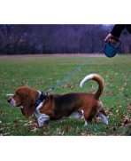 Confortul plimbarii KONG cu Lesă retractabilă KONG Terrain Small 5m Albastră pentru câini până la 20kg