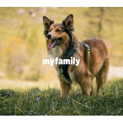 Monitorizare completa cu Zgardă inteligentă MyFamily Memopet Small 26-37 cm Neagră pentru câini