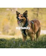 Conectivitate cloud cu Zgardă inteligentă MyFamily Memopet Large 44-68 cm Neagră pentru câini