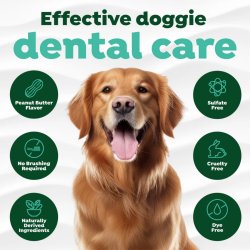Infografic beneficii gel dentar TropiClean Fresh Breath Peanut Butter 59ml