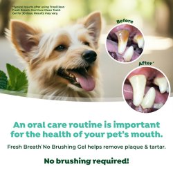 Rezultate inainte si dupa utilizare gel dentar TropiClean Fresh Breath Peanut Butter 59ml