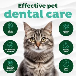 Infografic ingrediente și beneficii gel dentar TropiClean Fresh Breath 59ml pentru pisici