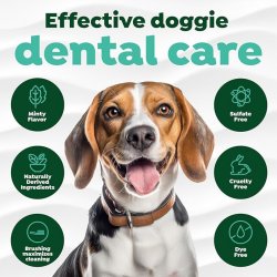 Infografic îngrijire dentară eficientă kit complet TropiClean Oral Care pentru câini
