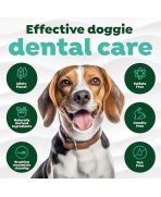 Infografic îngrijire dentară eficientă kit complet TropiClean Oral Care pentru câini
