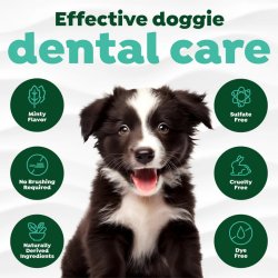 Infografic beneficii îngrijire dentară gel TropiClean Fresh Breath 59ml