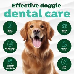 Infografic beneficii îngrijire dentară cu Golden Retriever gel TropiClean Fresh Breath 118ml