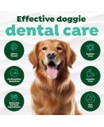 Infografic beneficii îngrijire dentară cu Golden Retriever gel TropiClean Fresh Breath 118ml
