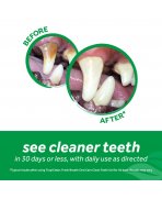 Infografic rezultate clinice înainte și după 30 de zile kit complet TropiClean Oral Care pentru câini
