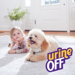 Prezentare lifestyle fetiță cu cățel pe covor curat și logo Urine Off