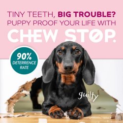 Infografic rată de succes 90 la sută spray împotriva rosului TropiClean Chew Stop Puppy