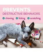 Infografic prevenire ros lins și zgâriat spray împotriva rosului TropiClean Chew Stop Puppy